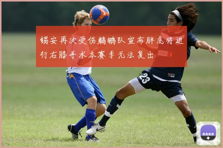 锡安再次受伤鹈鹕队宣布胖虎将进行右膝手术本赛季无法复出